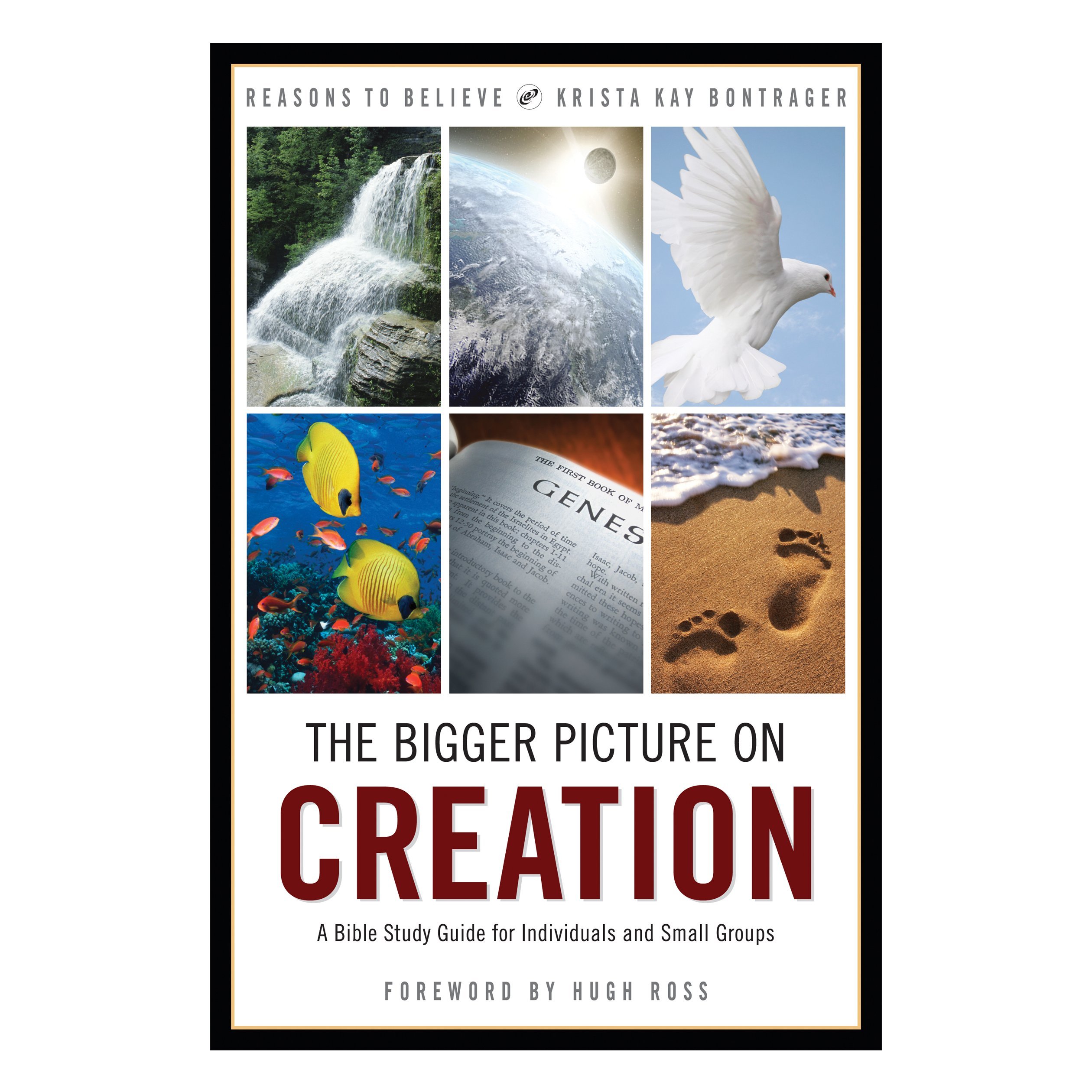 The Bigger Picture on Creation