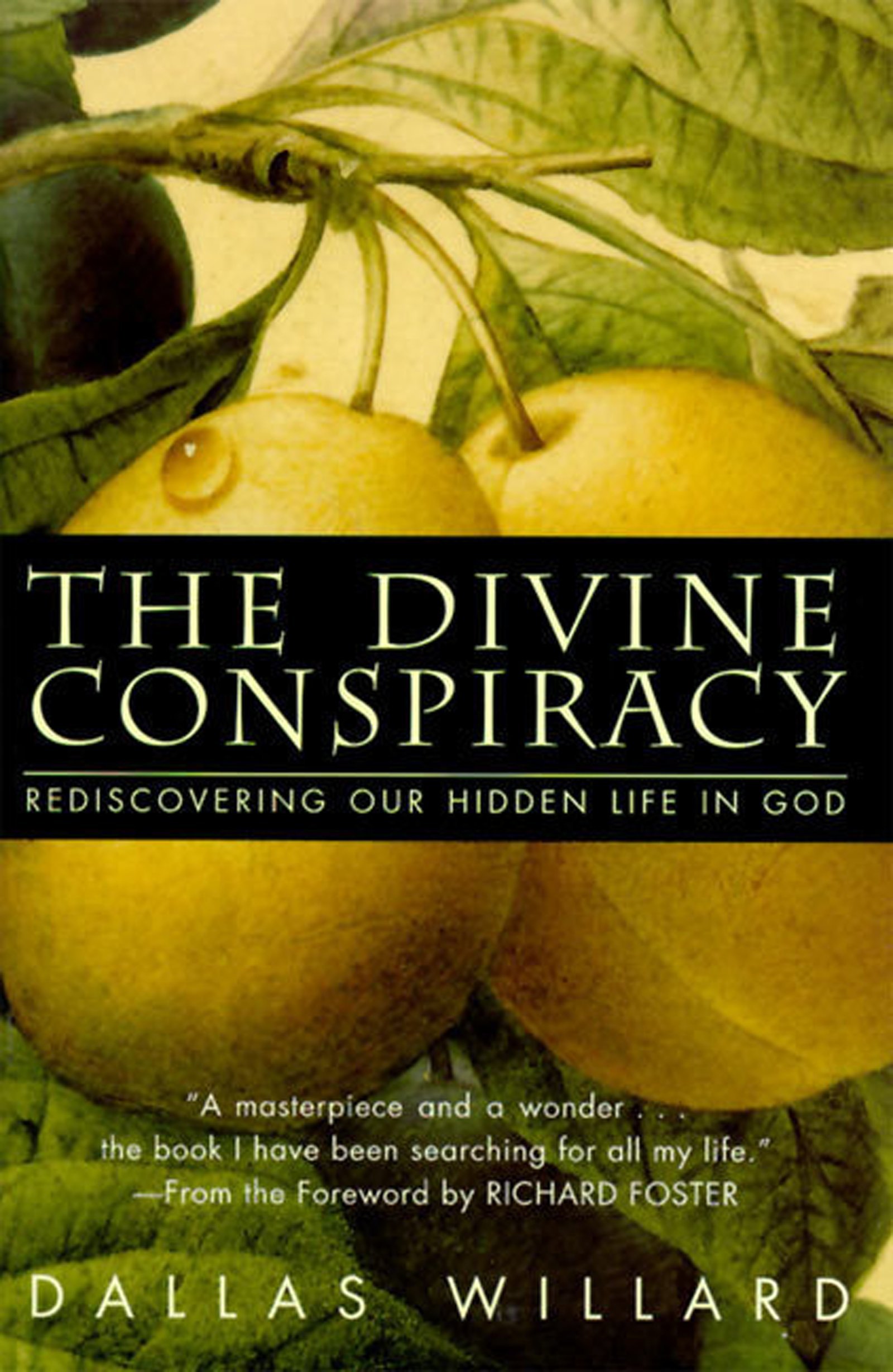 The Divine Conspiracy