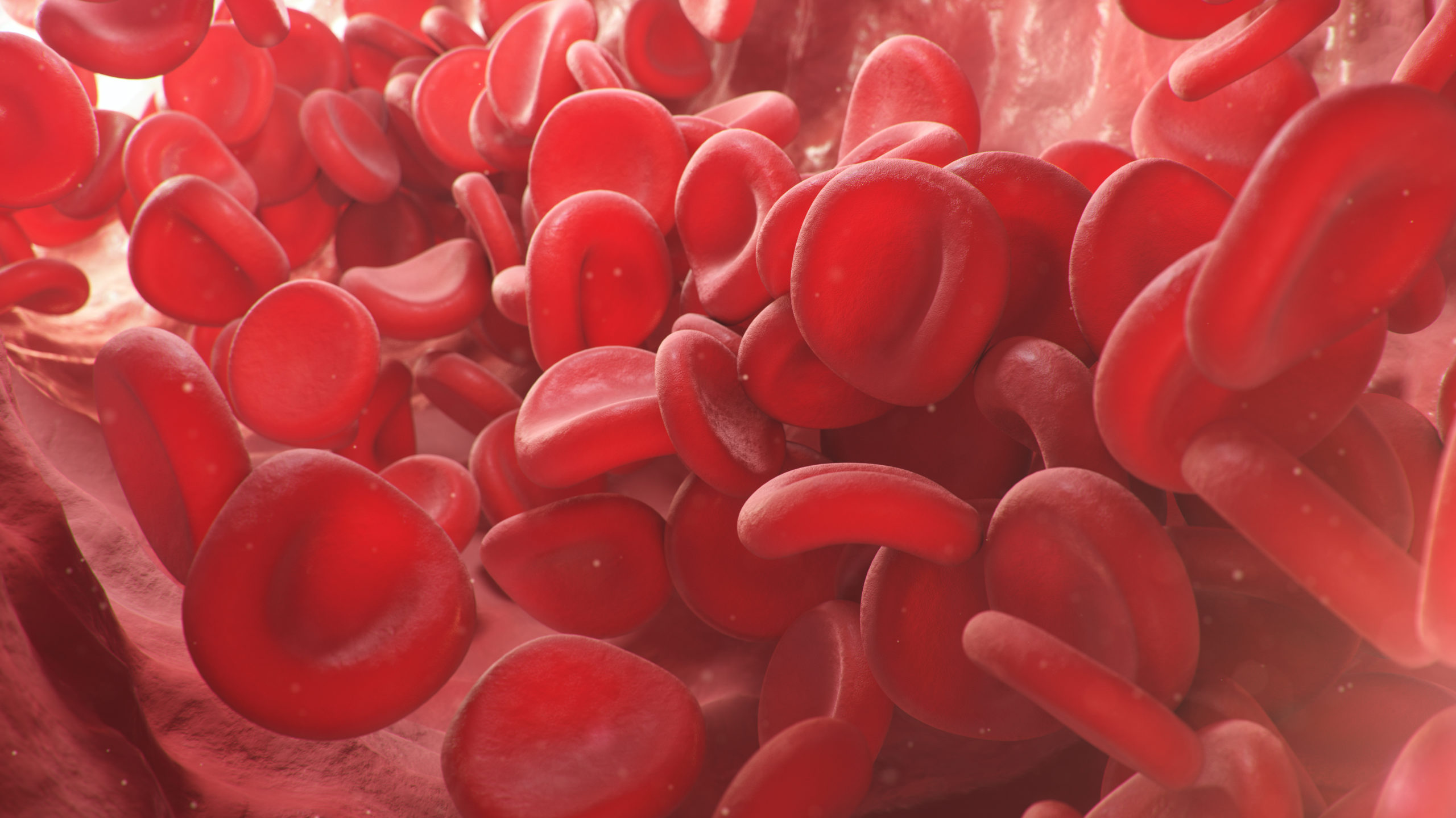 Red Blood Cells Reveal Complex Design