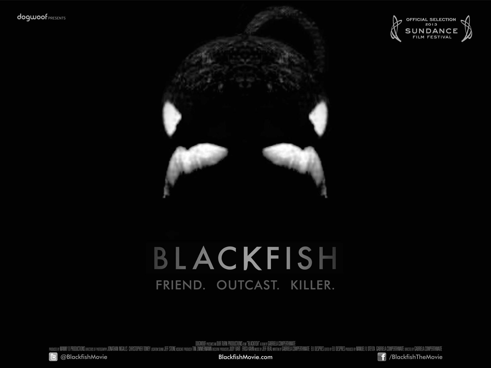 Considering “Blackfish” and the Question of Mammals in Captivity